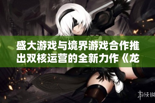 盛大游戏与境界游戏合作推出双核运营的全新力作《龙门虎将》