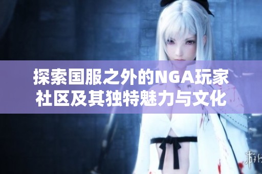 探索国服之外的NGA玩家社区及其独特魅力与文化