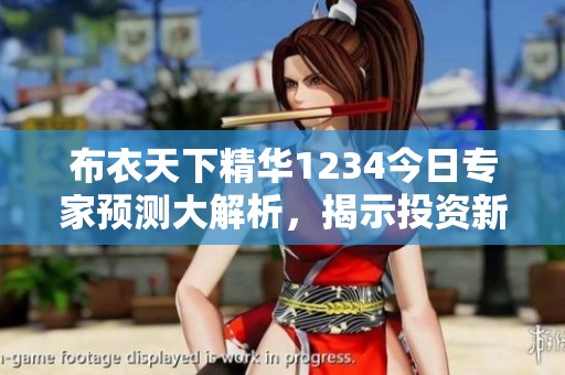布衣天下精华1234今日专家预测大解析，揭示投资新趋势