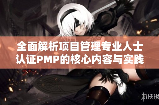 全面解析项目管理专业人士认证PMP的核心内容与实践技巧