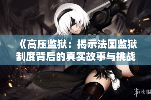 《高压监狱：揭示法国监狱制度背后的真实故事与挑战》