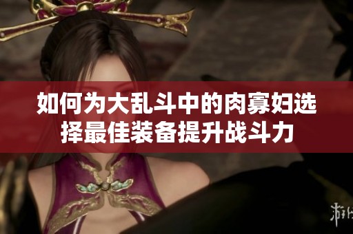 如何为大乱斗中的肉寡妇选择最佳装备提升战斗力