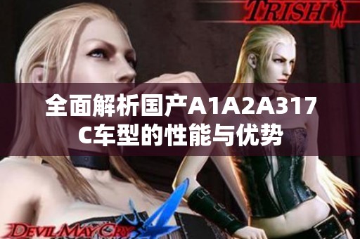 全面解析国产A1A2A317C车型的性能与优势