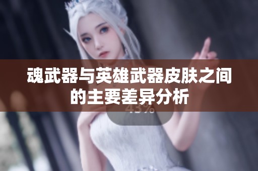 魂武器与英雄武器皮肤之间的主要差异分析