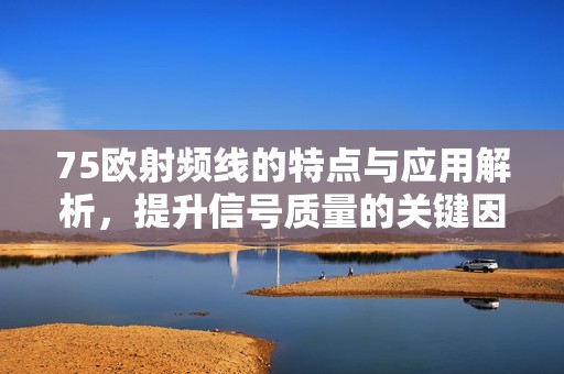 75欧射频线的特点与应用解析，提升信号质量的关键因素