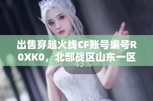 出售穿越火线CF账号编号R0XK0，北部战区山东一区绝佳选择