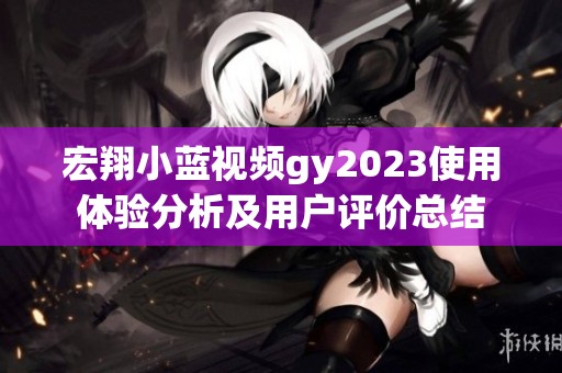 宏翔小蓝视频gy2023使用体验分析及用户评价总结