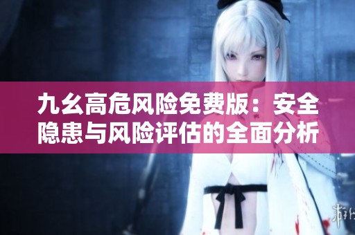 九幺高危风险免费版：安全隐患与风险评估的全面分析