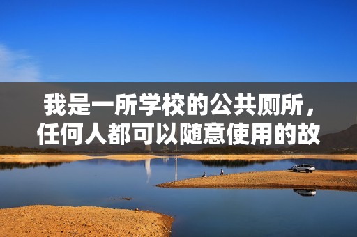 我是一所学校的公共厕所，任何人都可以随意使用的故事
