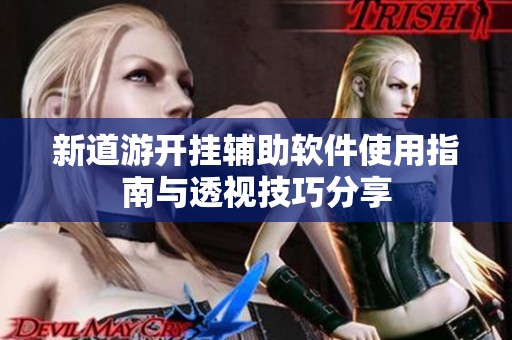 新道游开挂辅助软件使用指南与透视技巧分享