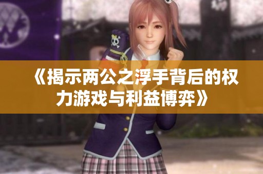 《揭示两公之浮手背后的权力游戏与利益博弈》