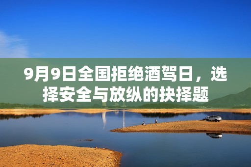 9月9日全国拒绝酒驾日，选择安全与放纵的抉择题