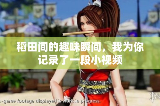 稻田间的趣味瞬间，我为你记录了一段小视频