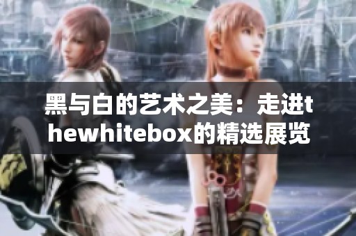 黑与白的艺术之美：走进thewhitebox的精选展览