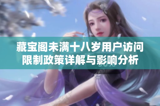 藏宝阁未满十八岁用户访问限制政策详解与影响分析