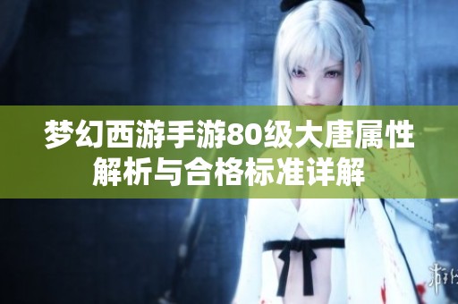 梦幻西游手游80级大唐属性解析与合格标准详解