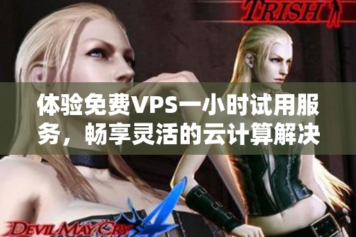 体验免费VPS一小时试用服务，畅享灵活的云计算解决方案