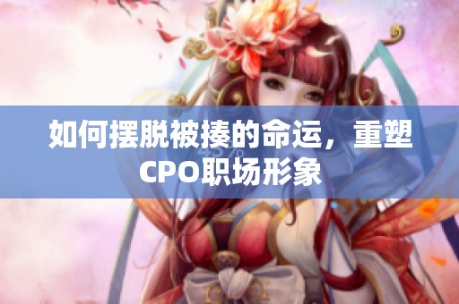 如何摆脱被揍的命运，重塑CPO职场形象