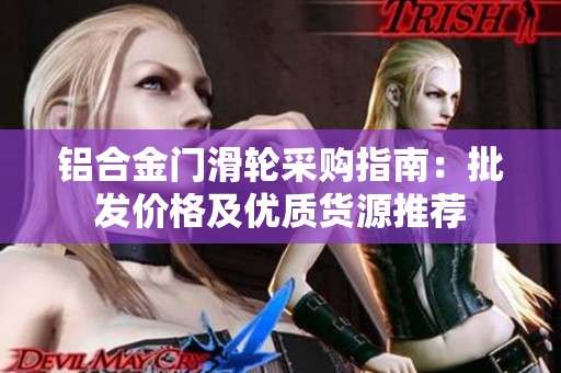 铝合金门滑轮采购指南：批发价格及优质货源推荐