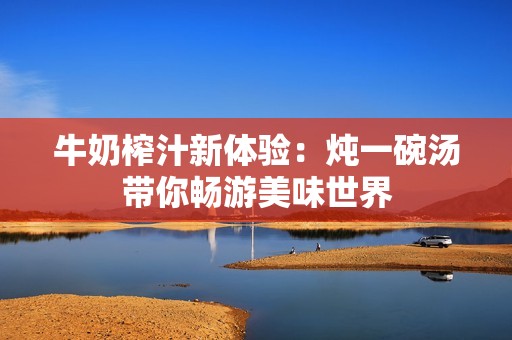 牛奶榨汁新体验：炖一碗汤带你畅游美味世界