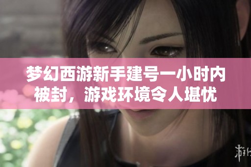 梦幻西游新手建号一小时内被封，游戏环境令人堪忧