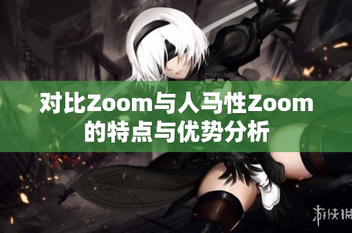 对比Zoom与人马性Zoom的特点与优势分析