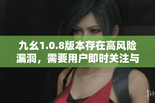 九幺1.0.8版本存在高风险漏洞，需要用户即时关注与处理