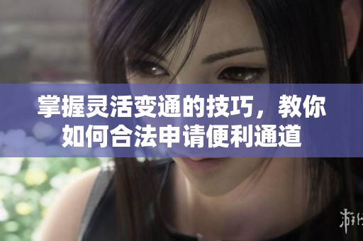 掌握灵活变通的技巧，教你如何合法申请便利通道