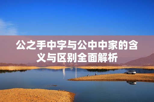 公之手中字与公中中家的含义与区别全面解析