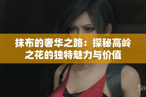 抹布的奢华之路：探秘高岭之花的独特魅力与价值