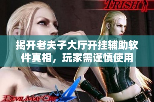 揭开老夫子大厅开挂辅助软件真相，玩家需谨慎使用