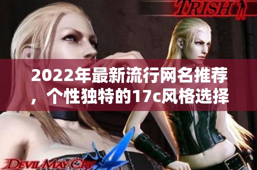 2022年最新流行网名推荐，个性独特的17c风格选择