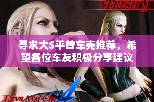 寻求大S平替车壳推荐，希望各位车友积极分享建议
