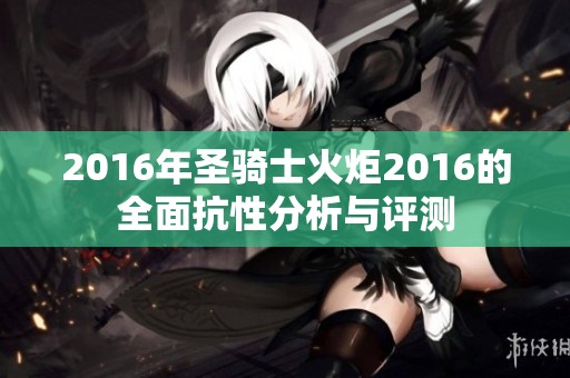 2016年圣骑士火炬2016的全面抗性分析与评测
