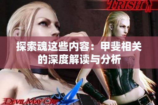 探索魂这些内容：甲斐相关的深度解读与分析