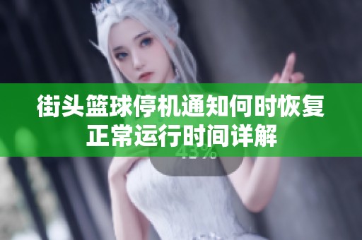 街头篮球停机通知何时恢复正常运行时间详解