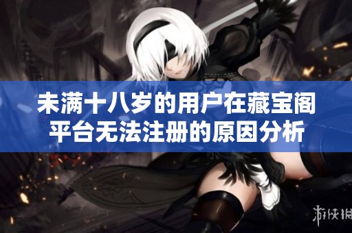 未满十八岁的用户在藏宝阁平台无法注册的原因分析