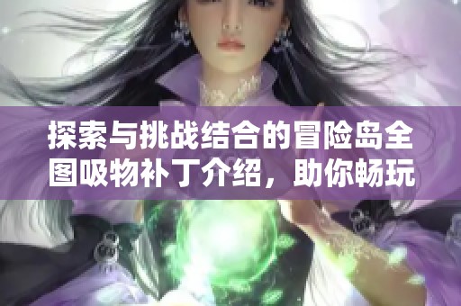 探索与挑战结合的冒险岛全图吸物补丁介绍，助你畅玩游戏世界
