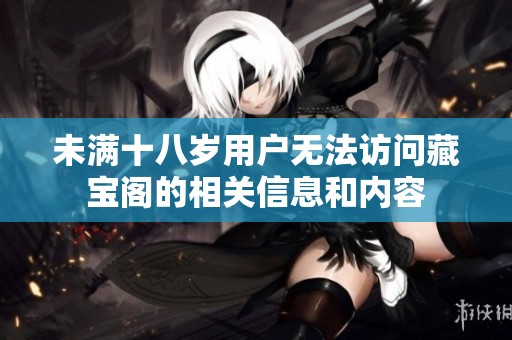 未满十八岁用户无法访问藏宝阁的相关信息和内容