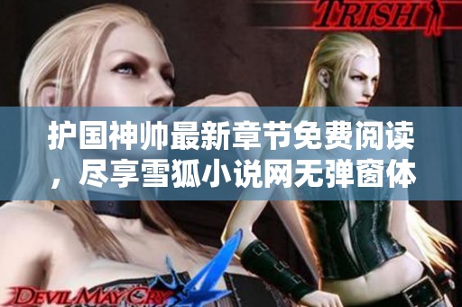 护国神帅最新章节免费阅读，尽享雪狐小说网无弹窗体验