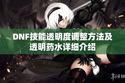DNF技能透明度调整方法及透明药水详细介绍