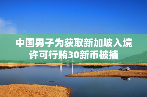 中国男子为获取新加坡入境许可行贿30新币被捕