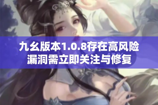 九幺版本1.0.8存在高风险漏洞需立即关注与修复