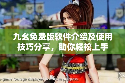 九幺免费版软件介绍及使用技巧分享，助你轻松上手