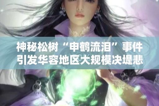 神秘松树“申鹤流泪”事件引发华容地区大规模决堤悲剧