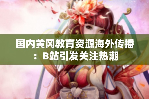 国内黄冈教育资源海外传播：B站引发关注热潮