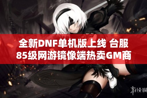 全新DNF单机版上线 台服85级网游镜像端热卖GM商城点卷