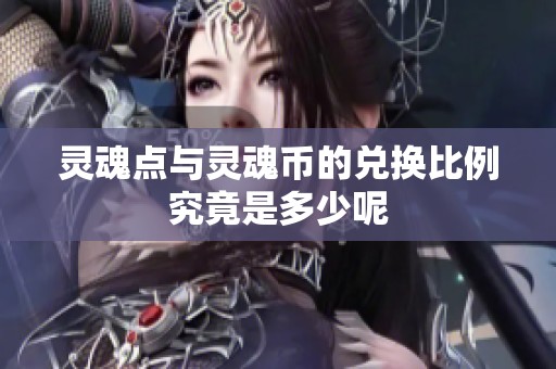灵魂点与灵魂币的兑换比例究竟是多少呢