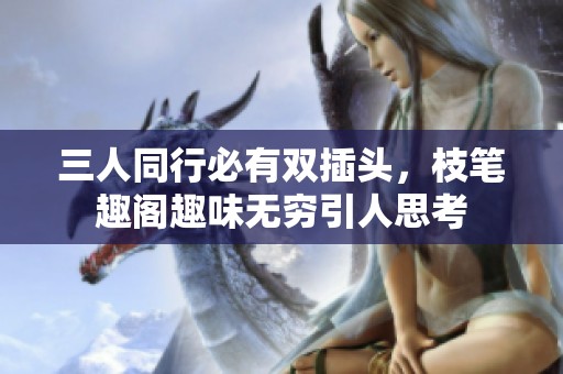 三人同行必有双插头，枝笔趣阁趣味无穷引人思考