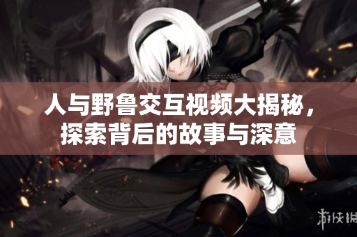 人与野鲁交互视频大揭秘，探索背后的故事与深意